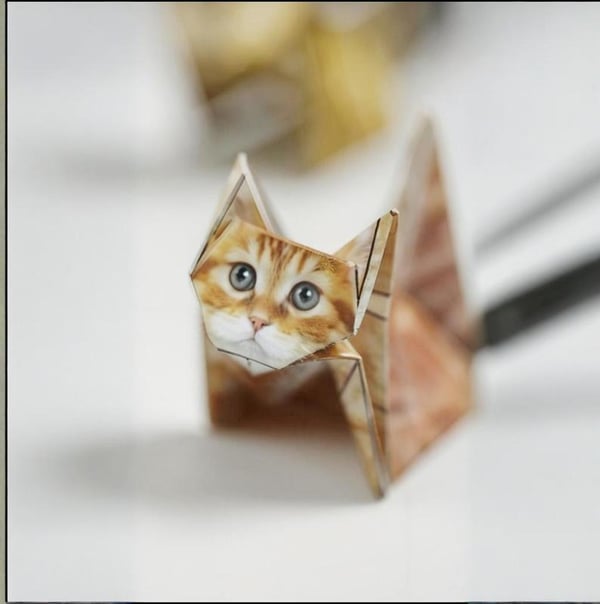 3D Paper Cats Origami Kit – 50 Sheets of Fun Crafting for Kids & Adults（13）